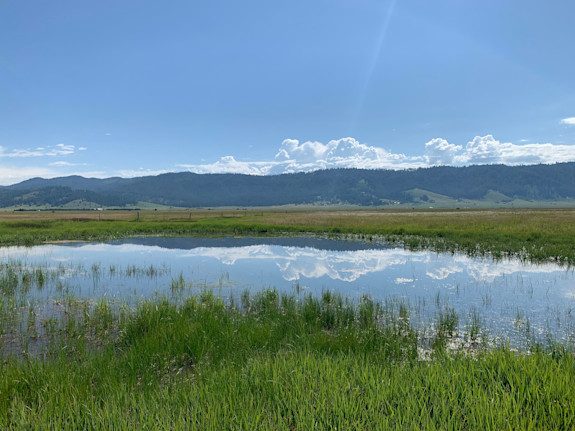 Owner Carry Land - 20-Acres In Idaho!