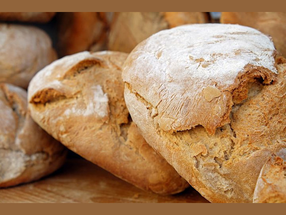 Wholesale Bread Bakery Business for Sale in NY
