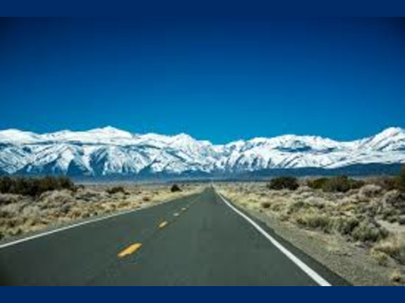 Clean Pink Sheet [Expert Market] Excellent