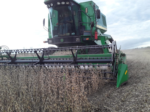 22,239 Acres Soy Bean/Cattle Farm Paraguay