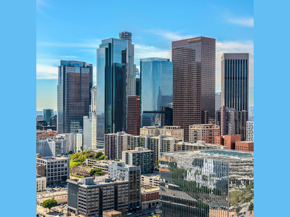 Price Reduced on Mobile Vet Practice in LA County