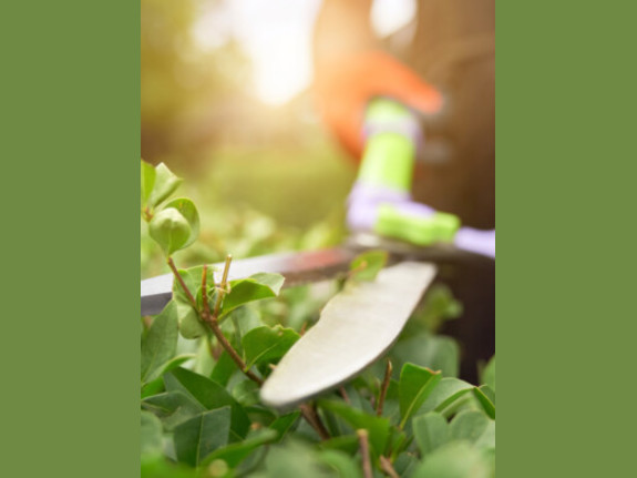 Premier Landscaping Business with 42 Year Legacy