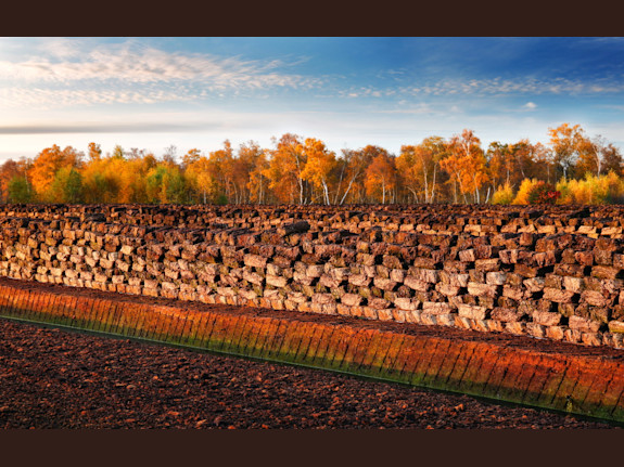 Well Established Peat Moss Extraction Company