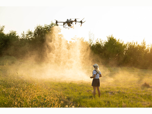 Agricultural Drone Spraying And Marketing Services