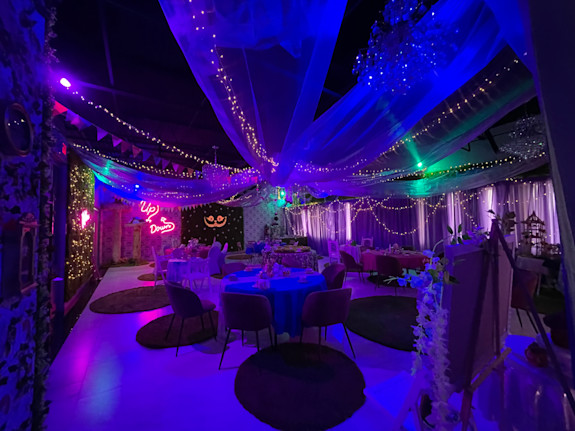 The Alice Experience