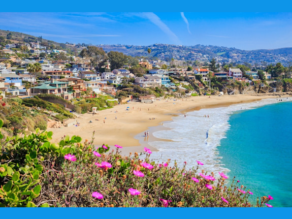 45% Cashflow and Growing CPA firm in Orange County