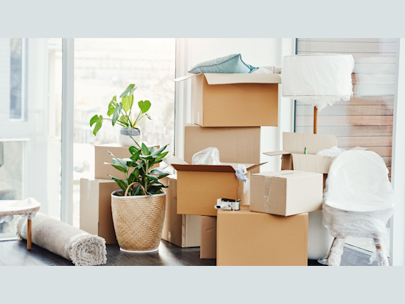Family-Owned Moving Business | Palm Beach County