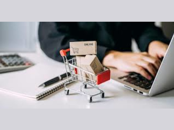 Highly profitable E-commerce business