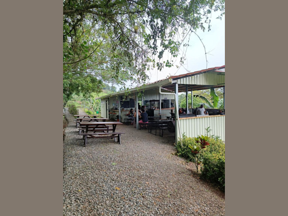 Brewery, Beer Garden, Food Truck And Home