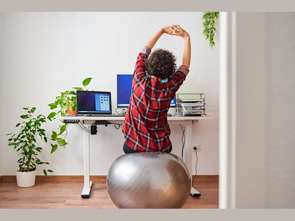 $390K Rev – Gamified Corporate Wellness SaaS