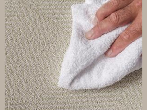 Carpet/Furniture Cleaning Service-Bronx County,NY