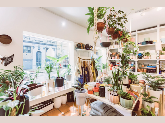 Upscale Florist and Home Decor Shop