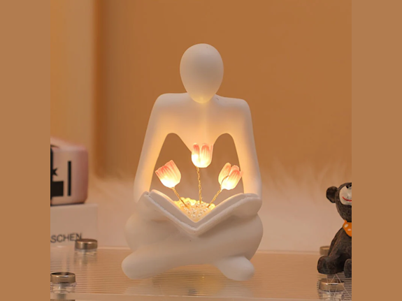 Profitable E-Commerce Home & Lifestyle Business