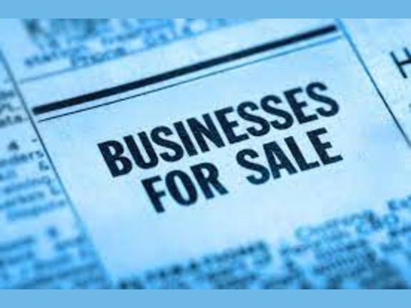 Lichtenstein Holding company