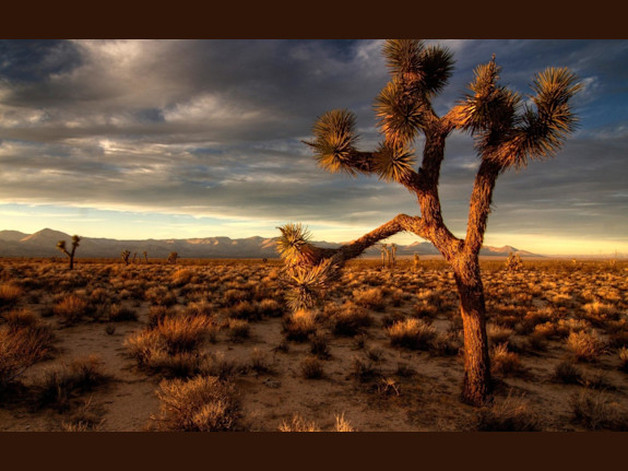 OTC Public Company - Very Clean USA