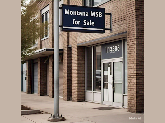 For Sale - Montana MSB - Money Service License