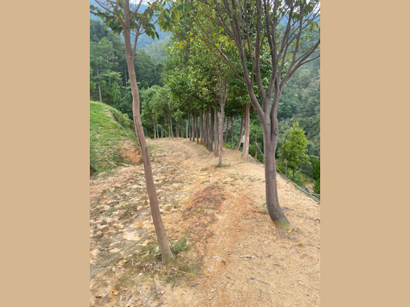 Tourist Spot Land For Jv/Sale In Penang Island