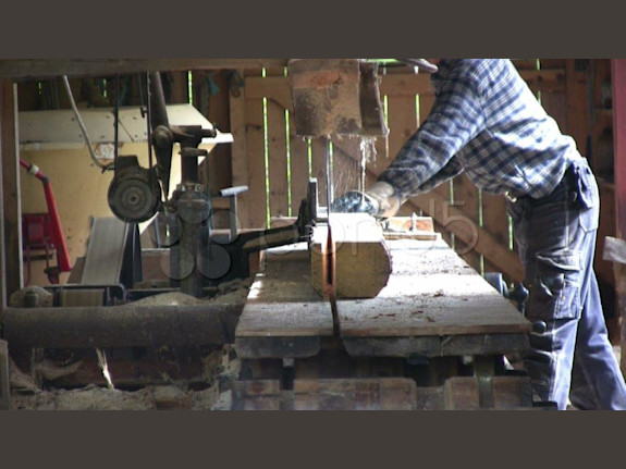 Established Sawmill and Lumber Company