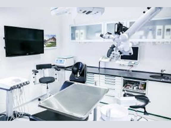 Established Dental Office in Bronx County, NY
