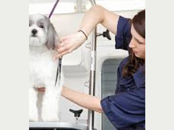 From Dull to Dazzling