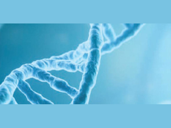 High Complexity CLIA, fully PCR equipped, in Color