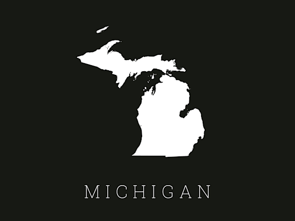 Lenawee County, MI, Practice for Sale