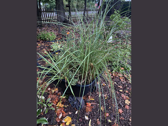 Agricultural Firm for Sale