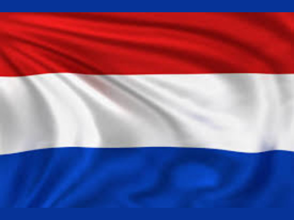 Licensed PI in the Netherlands