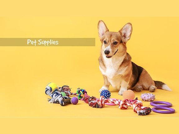 Amazon Affiliate Pet Supply Website - Automated