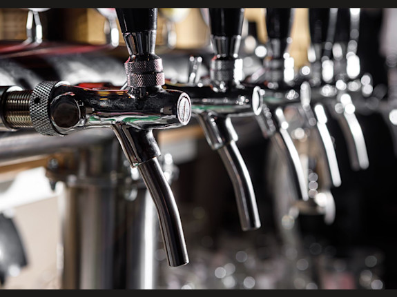 Profitable Mountain Pub / Optional Brewing Facility