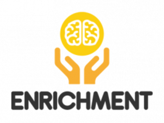 STEM Program- After school program