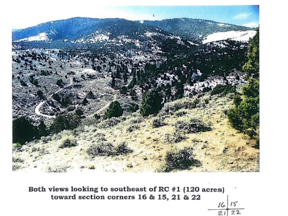 Eastern Nevada Gold Placer