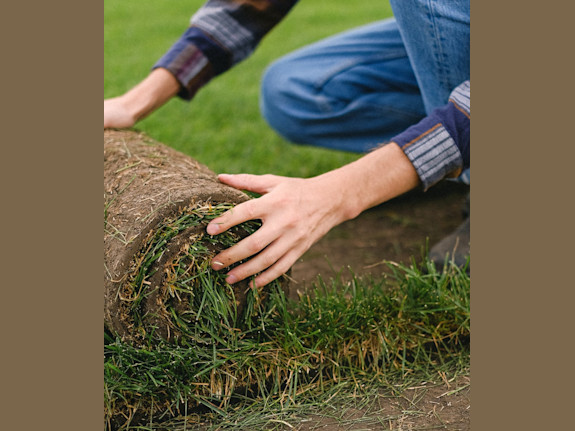 Profitable Sod Farm Distrib. Bus. SBA Pre Approved