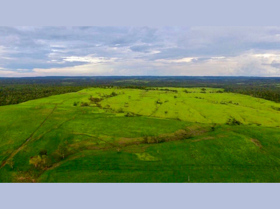 Developed Mixed Farm in Caaguazu, Paraguay