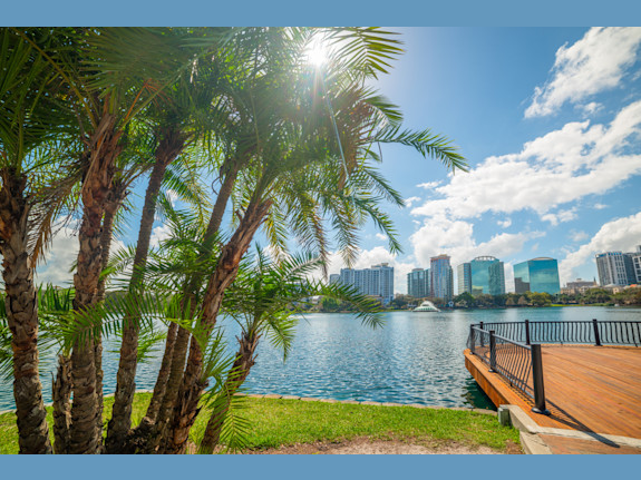 Established CPA Firm in Central Florida for Sale