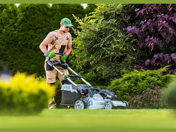 Established Landscape Company  Adj. EBITDA $486K