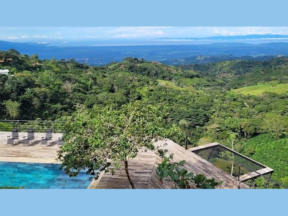 Oceanview Retreat & Multi-Unit Investment