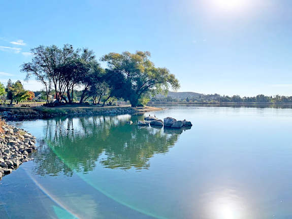 Cameron Park, CA Chiropractic Practice For Sale