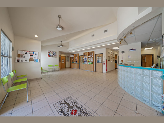 Established Veterinary Hospital For-Sale