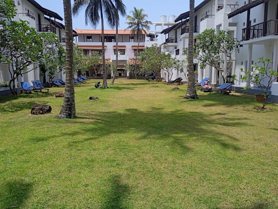 A Stunning Beachfront Hotel in Sri Lanka for Sale