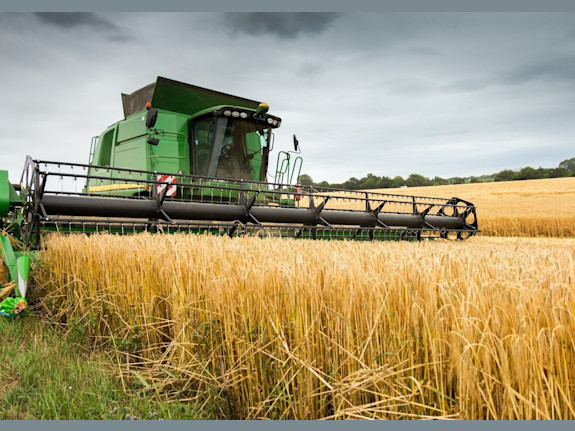 Grain Elevator Business Operation / Real Estate - 1.4M Grain Capacity