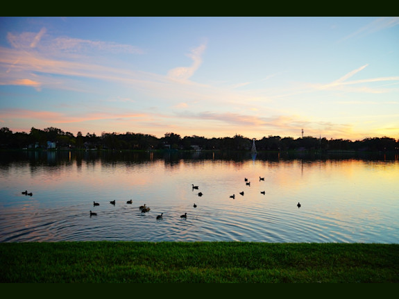 Tampa FL Hybrid CPA Firm with Strong Cash Flow