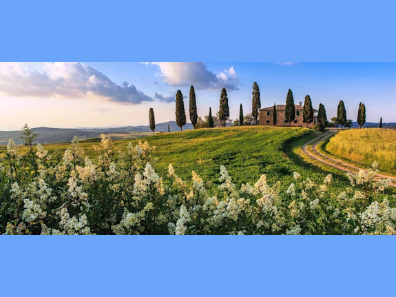 Luxury Lifestyle And Hospitality Business