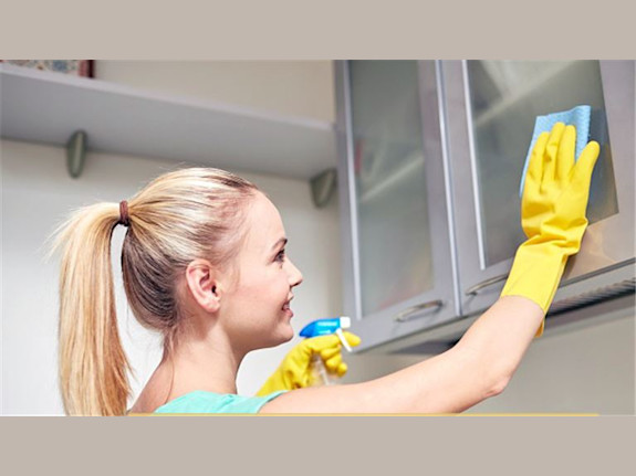 Established ECO Cleaning Business