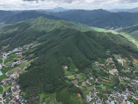 Excellent Plot Of Land For Sale In Korea