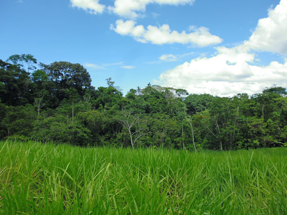 Excellent Opportunity To Selfsupporting Farm