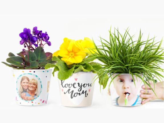 5 Years Working Business With A Top Amazon Account