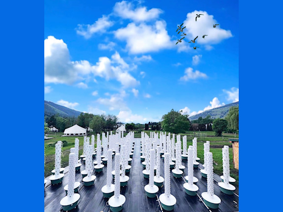 Agritourism Resort and Farm for Sale!