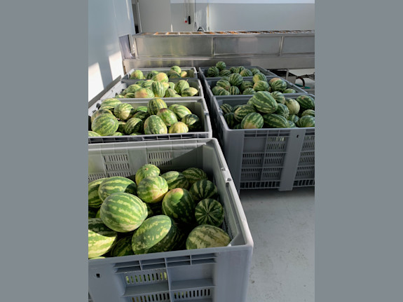 Artisan Juicing And Bottling Facility In Greece