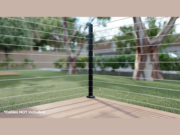 Established Business with Strong Growth Potential